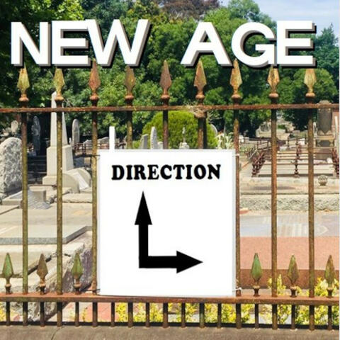 Direction album art