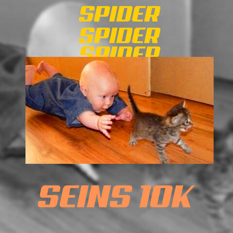 seins 10k album art