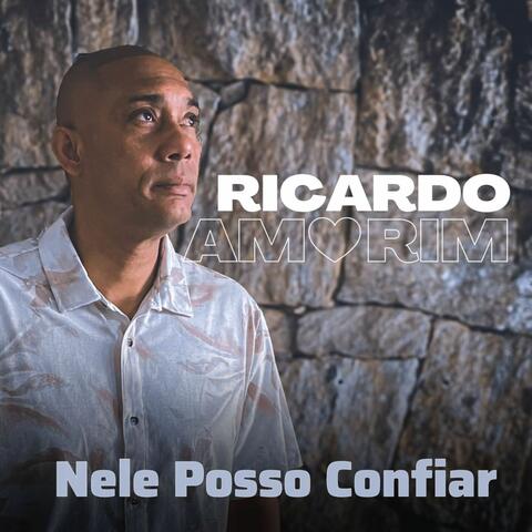 Nele Posso Confiar album art