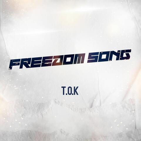 Freedom Song album art