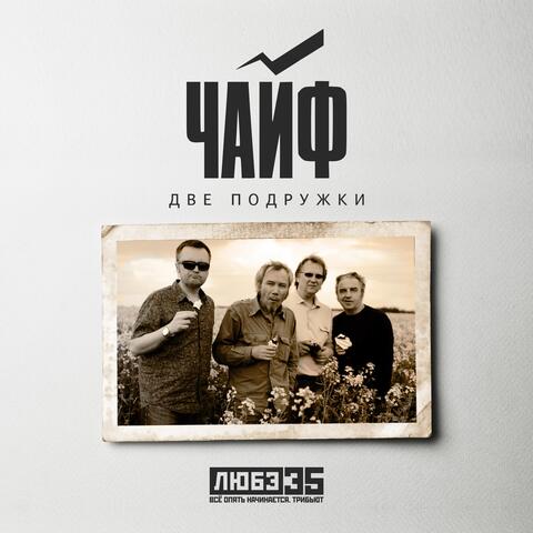 Две подружки (Любэ 35. Всё опять начинается. Трибьют) album art