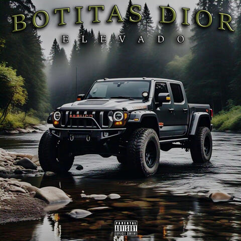 Botitas Dior album art