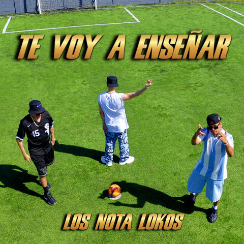 Te Voy a Enseñar album art