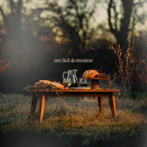 eres fácil de encontrar album art