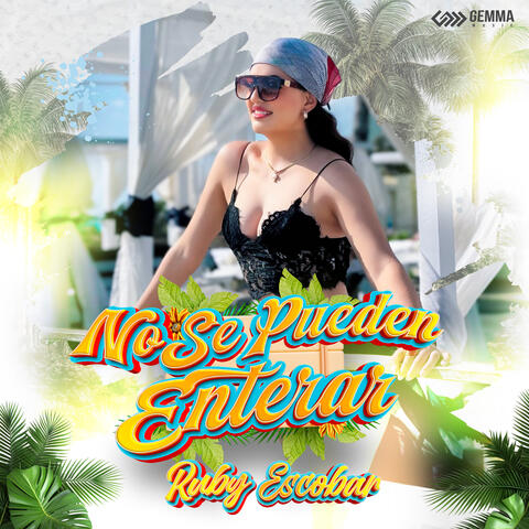 No Se Pueden Enterar album art