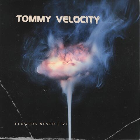Flowers Never Live album art