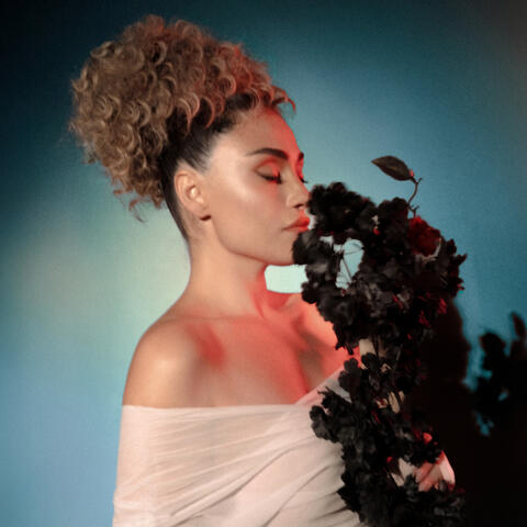 Güllere Sor Beni album art