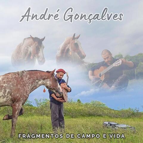 Fragmentos de Campo e Vida album art