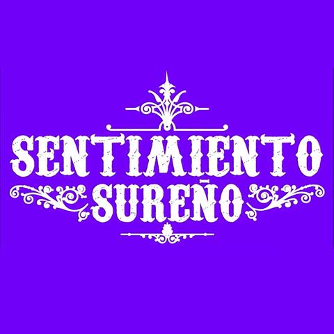 Sentimiento Sureño album art