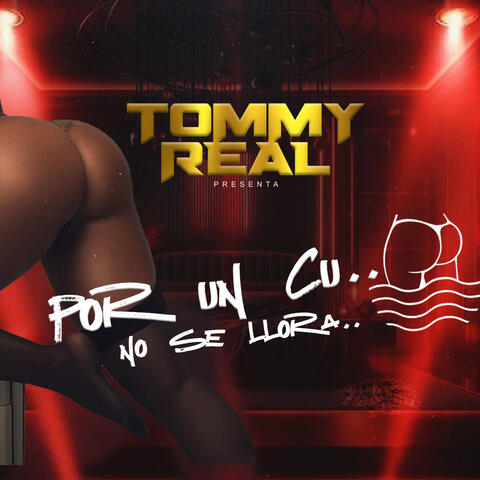 Por un Culo No Se Llora album art