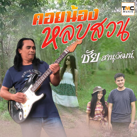 คอยน้องหลบสวน album art