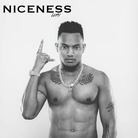 Niceness album art