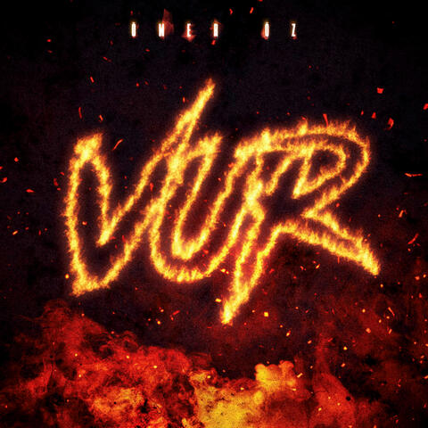 Vur album art
