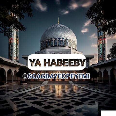 Ya Habeeby album art