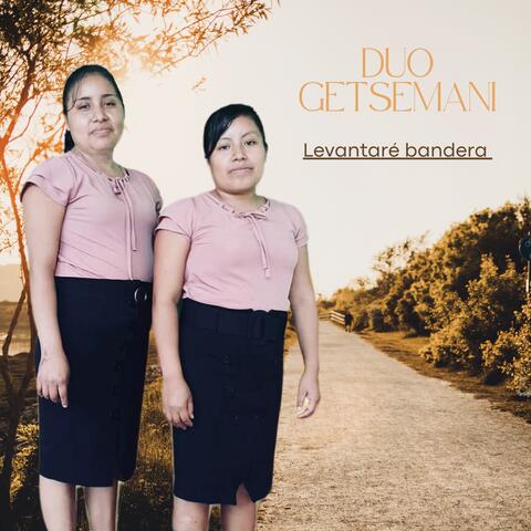 Levantare Bandera album art