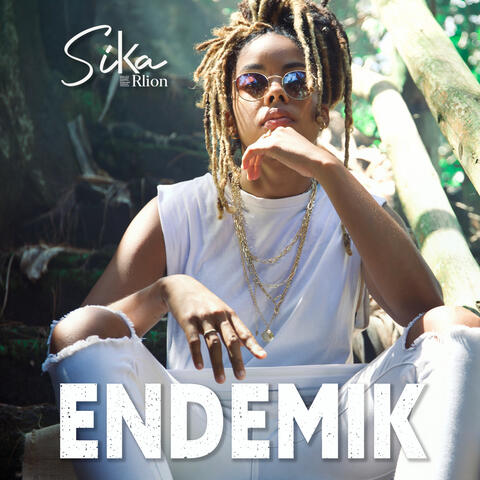 Endemik album art