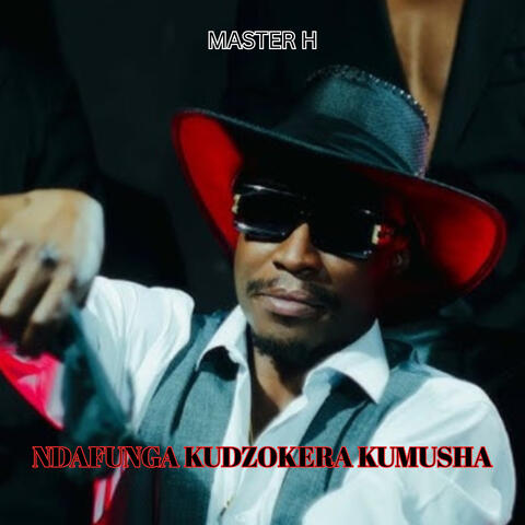 Ndafunga Kudzokera Kumusha album art
