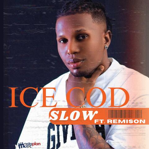 Slow album art