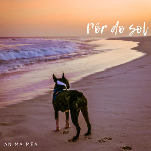 Pôr do Sol album art