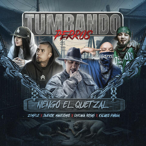 Tumbando Perros album art