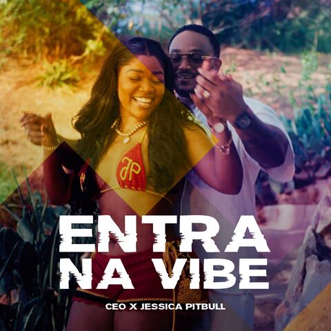 Entra na Vibe album art