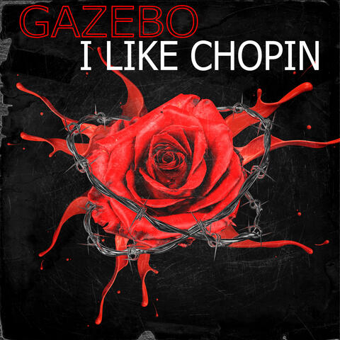 I Like Chopin album art