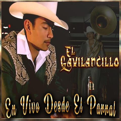 En Vivo Desde el Parral album art