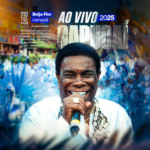 Sambas de Enredo Rio Carnaval 2025 (Ao Vivo) album art