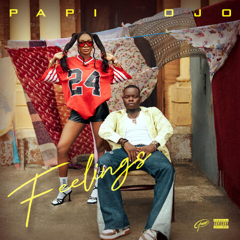 Feelings album art
