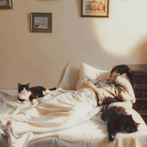 Песня про кота album art