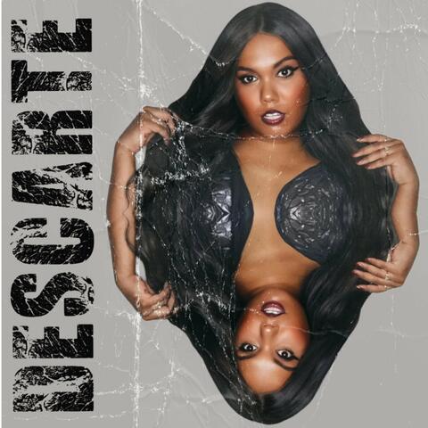 Descarte album art
