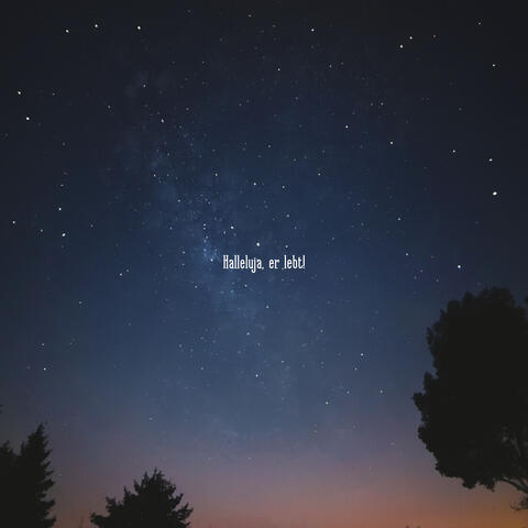 Halleluja, er lebt! album art