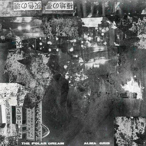 Alma Gris album art