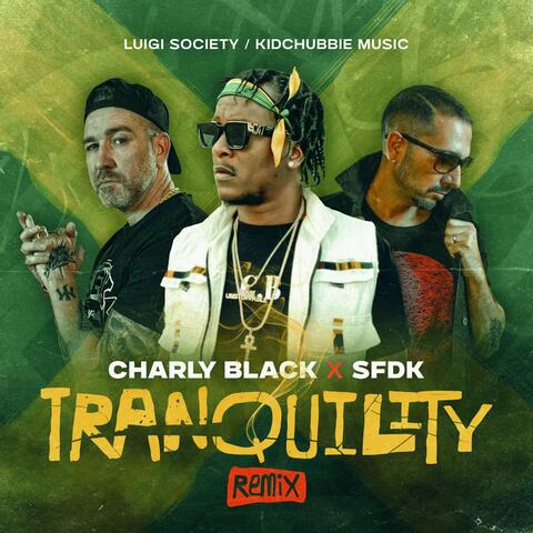 Tranquility album art