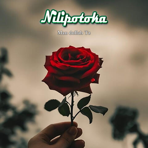 Nilipotoka album art