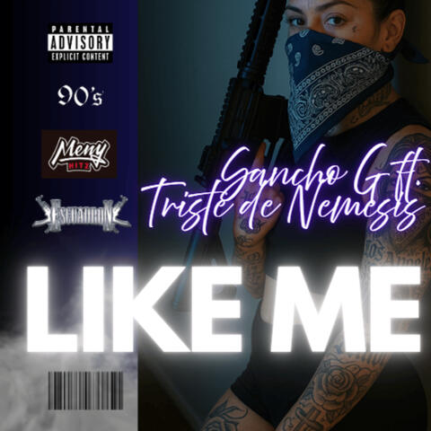 Like Me album art