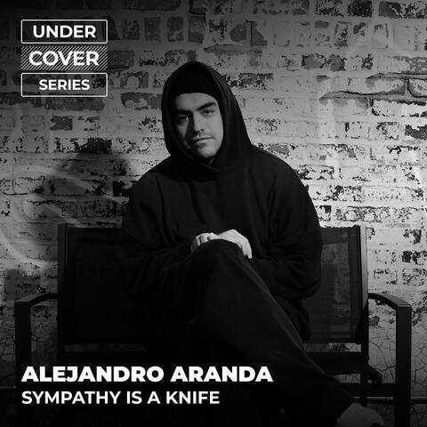 Sympathy Is a Knife album art