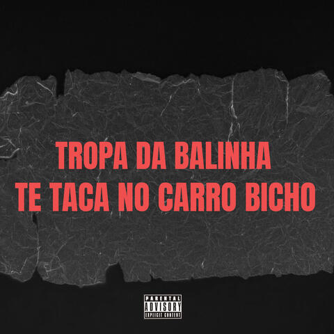 Tropa da Balinha Te Taca no Carro Bicho album art