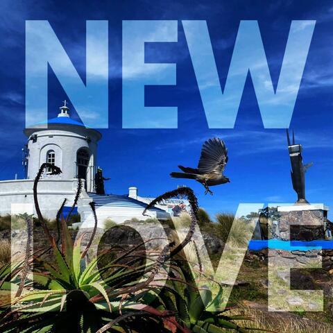New Love album art