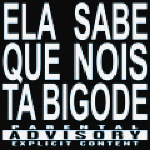 Ela Sabe Que Nóis Tá Bigode album art