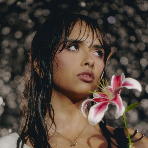 Tanto Amor album art