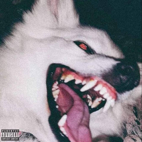 Зависть album art