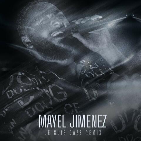 Je Suis Gazé album art