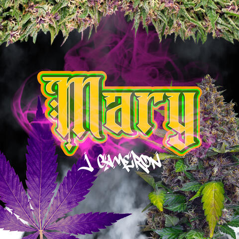 Mary album art