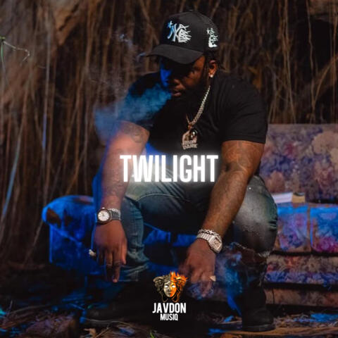 Twilight album art