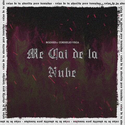 Me Cai de la Nube album art