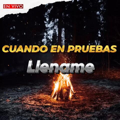 Cuando en Pruebas / Llename album art