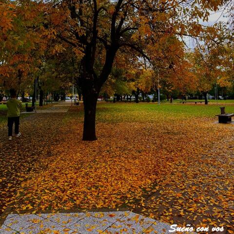Sueño Con Vos album art