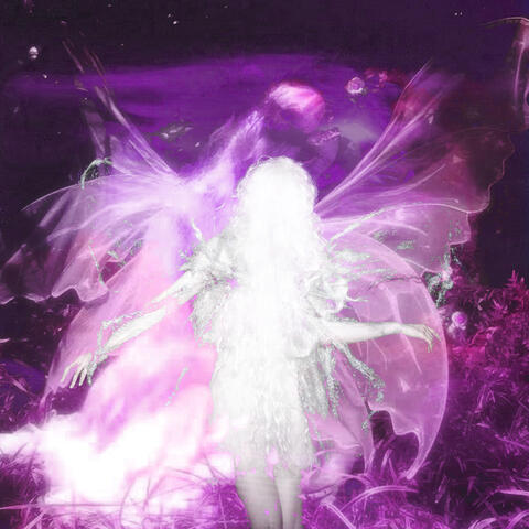 Lilac album art