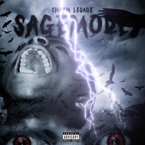 Sagemode album art